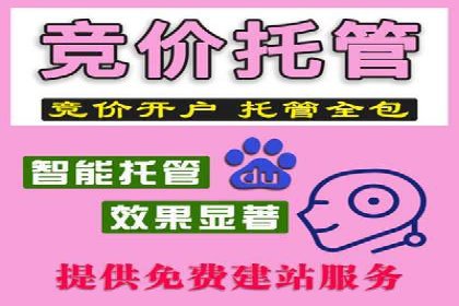 SEM竞价推广策略优化：从失败到成功的转变